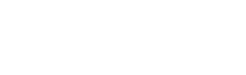 日本公演