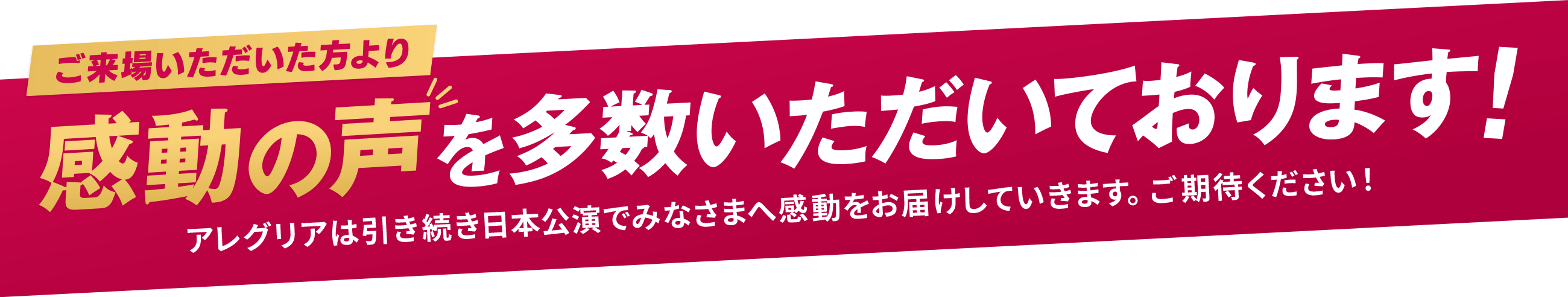 ご来場いただいた方より感動の声を多数いただいております！アレグリアは引き続き日本公演でみなさまへ感動をお届けしていきます。ご期待ください！